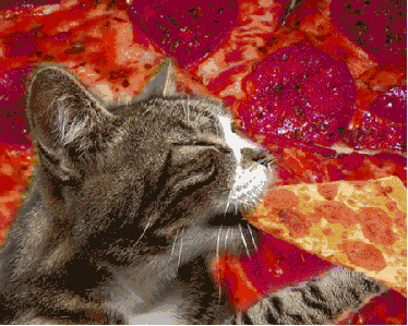 A Trippy Cat Eating Pizza